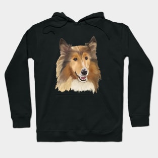 Collie on Black Background Hoodie